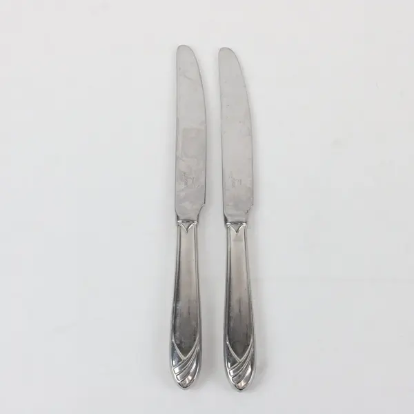 Lot of 2 Mikasa Cathedral Stainless Steel Dinner Knives, 9 1/4" long