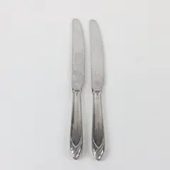 Lot of 2 Mikasa Cathedral Stainless Steel Dinner Knives, 9 1/4" long