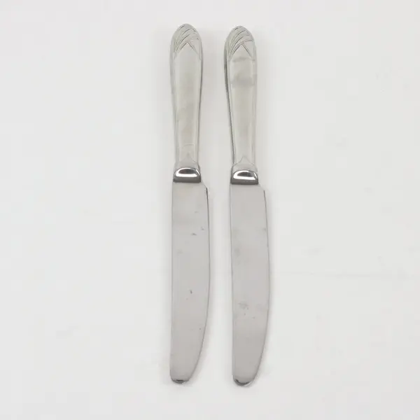 Lot of 2 Mikasa Cathedral Stainless Steel Dinner Knives, 9 1/4" long