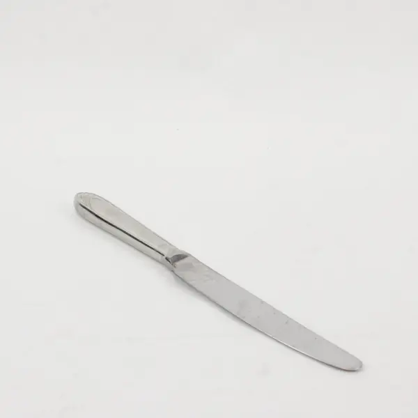 Lot of 2 Mikasa Cathedral Stainless Steel Dinner Knives, 9 1/4" long