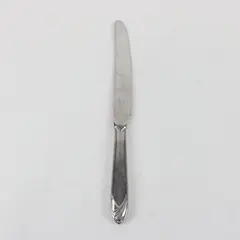 Mikasa Cathedral Stainless Steel 9 1/4" Dining Knife Made in Japan