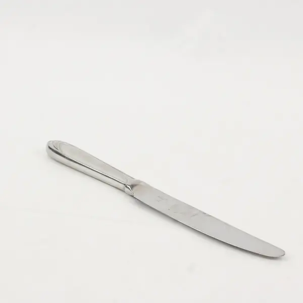 Mikasa Cathedral Stainless Steel 9 1/4" Dining Knife Made in Japan