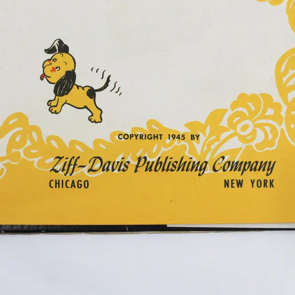 Vintage 1945 The Newcomer by Naoma Zimmerman Hardcover Picture Book Dust Jacket