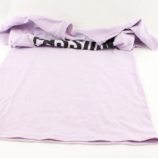 Port & Company Purple Passion Graphic Tee Mens Small