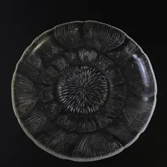 Vintage Arcoroc France Fleur Textured Pressed Glass Plate