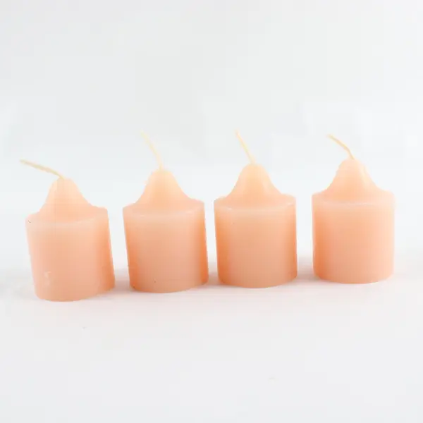 PartyLite V06245 Wild Rose & Flam'buoyants Candle Lot 2 New Open Box