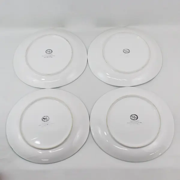 The Cellar Set of 4 Hand Painted Dinner Plates Potted Flowers 11.5" Italy