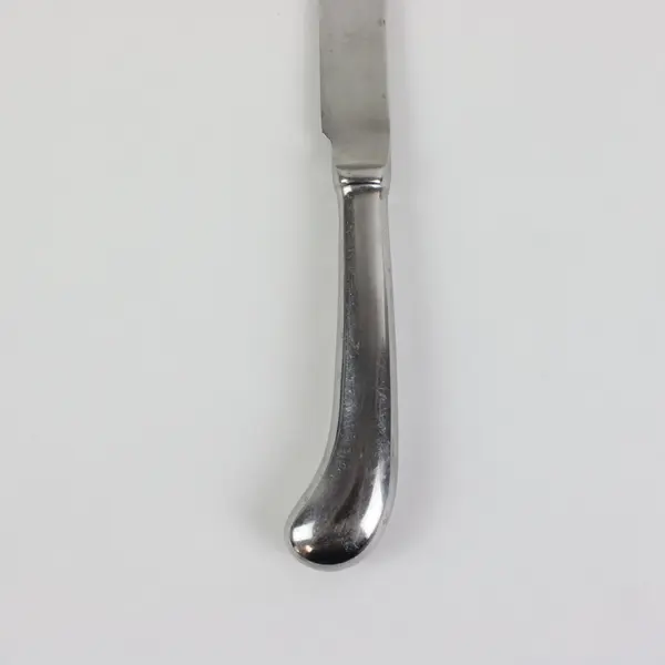 Lot of 2 Reed & Barton Olde Lexington Stainless Dining Pistol Knives 9 3/4"