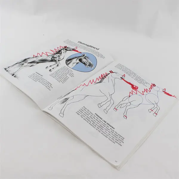 Vintage How to Draw Horses by Carrie A Snyder 1985 Paperback 