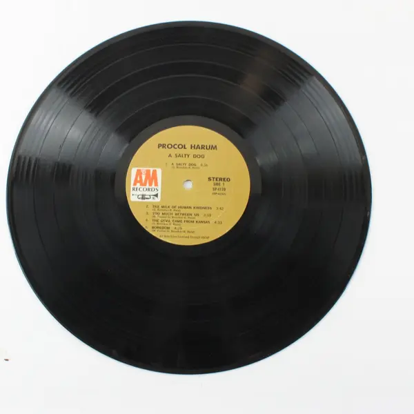 Procol Harum A Salty Dog 12" Vinyl Record