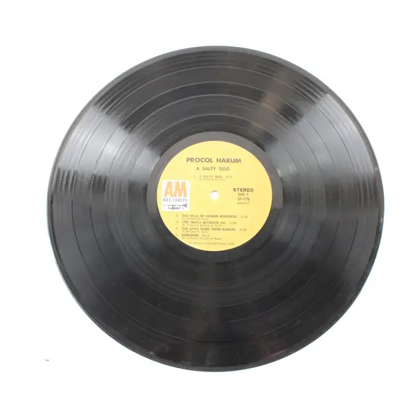Procol Harum A Salty Dog 12" Vinyl Record