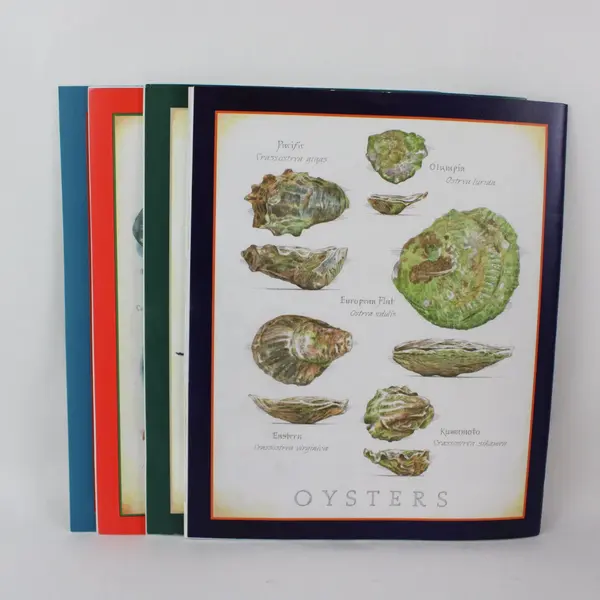 Lot of 4 Cook's Illustrated Magazines from 2021 