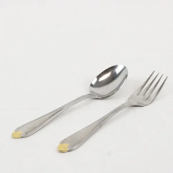 Set of 2 Pfaltzgraff Golden Biscayne Stainless Flatware (Salad Fork +Spoon)