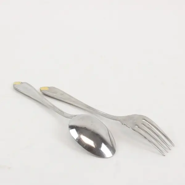 Set of 2 Pfaltzgraff Golden Biscayne Stainless Flatware (Salad Fork +Spoon)