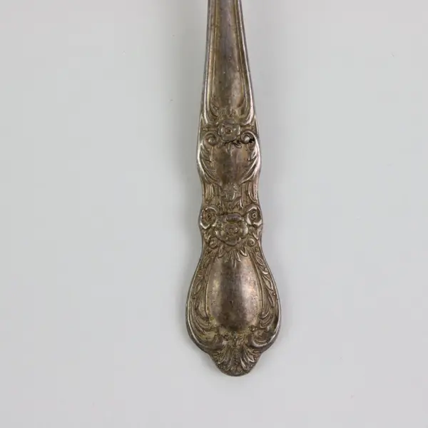 2 Mismatched Vintage Fruit & Iced Tea Spoons International Silver/Community