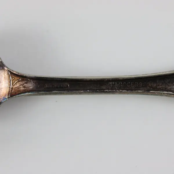 2 Mismatched Vintage Fruit & Iced Tea Spoons International Silver/Community
