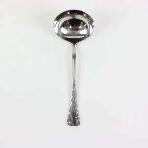 Pfaltzgraff Wyndham Stainless Steel Glossy Floral Patterned Gravy Ladle 