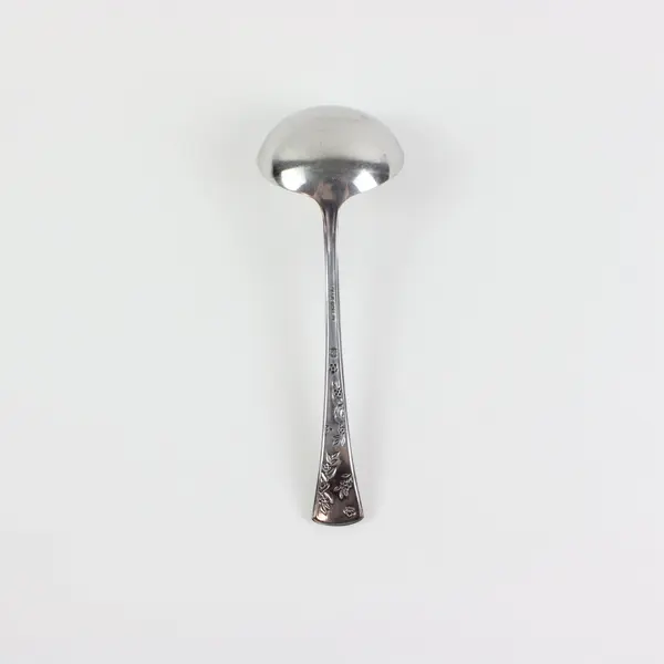 Pfaltzgraff Wyndham Stainless Steel Glossy Floral Patterned Gravy Ladle 