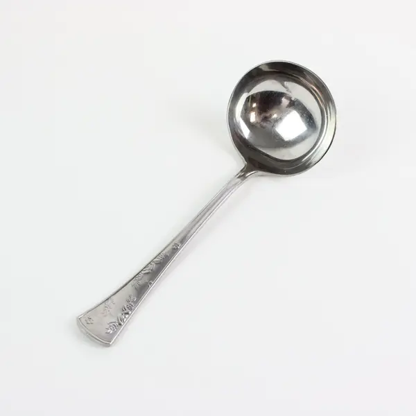 Pfaltzgraff Wyndham Stainless Steel Glossy Floral Patterned Gravy Ladle 