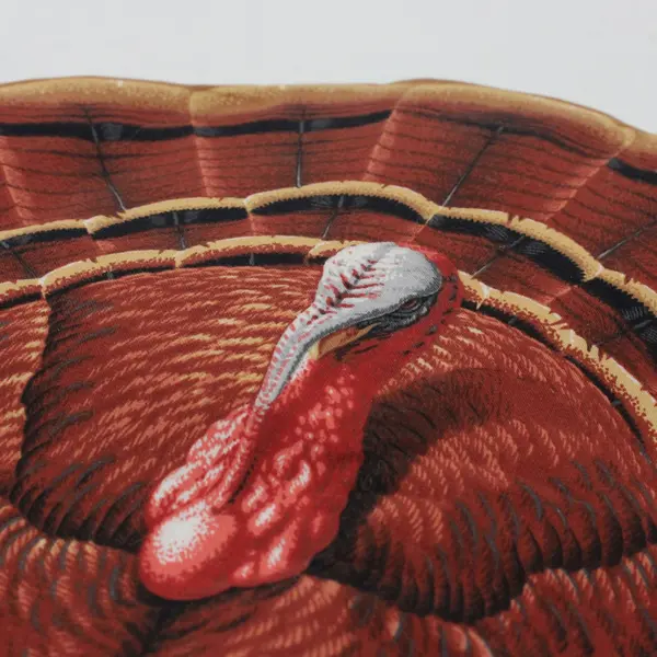 Set of 6 Handmade Thanksgiving Turkey Placemats 16.5 x 13 in