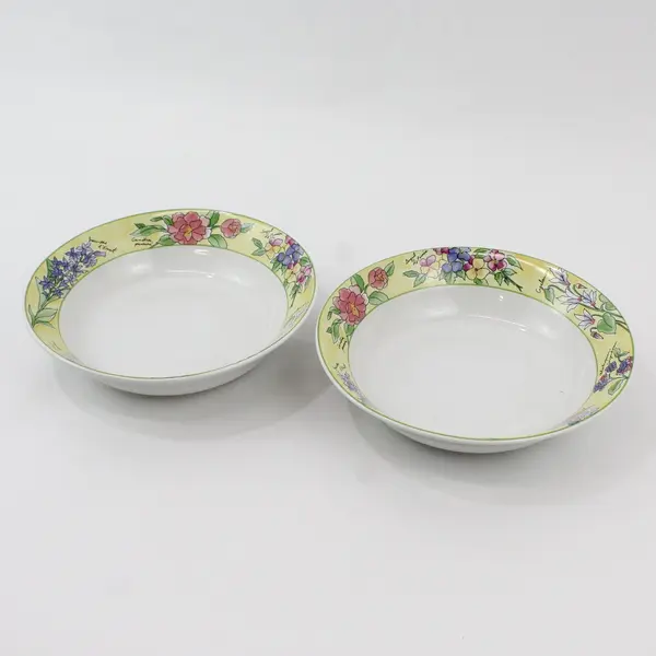 Set of 2 Furio Creme Brulee Floral Coupe Soup Bowls 7.5"