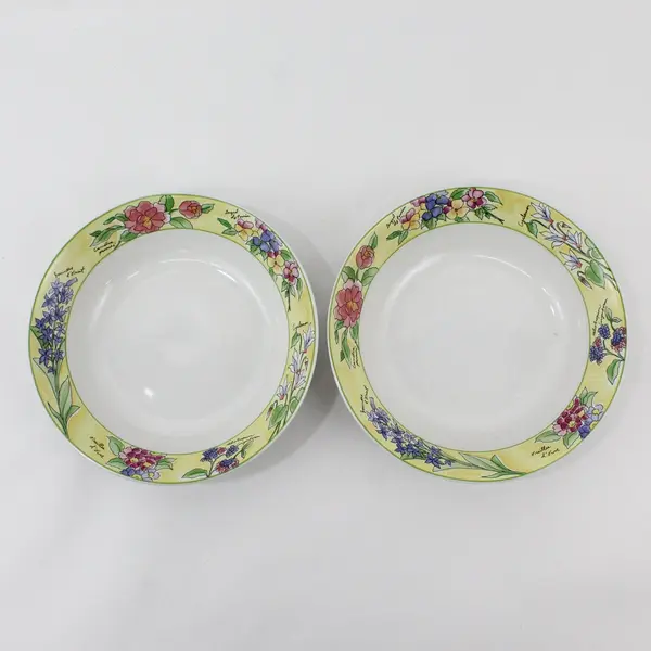 Set of 2 Furio Creme Brulee Floral Coupe Soup Bowls 7.5"