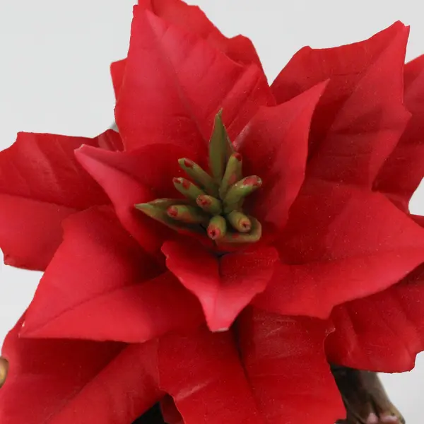 E & R Golden Crown Porcelain Poinsettia Sculpture Holiday Decor