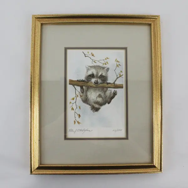 Baby Raccoon Watercolor LE Print Peter J. O'Callaghan11x9 Signed Framed Matted
