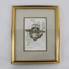 Baby Raccoon Watercolor LE Print Peter J. O'Callaghan11x9 Signed Framed Matted