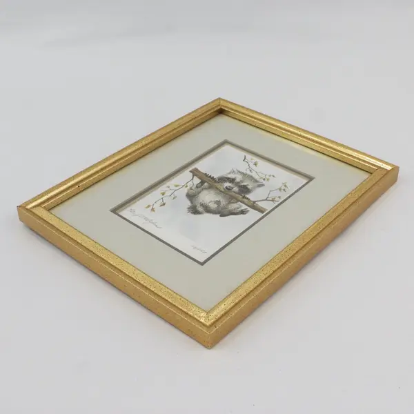 Baby Raccoon Watercolor LE Print Peter J. O'Callaghan11x9 Signed Framed Matted
