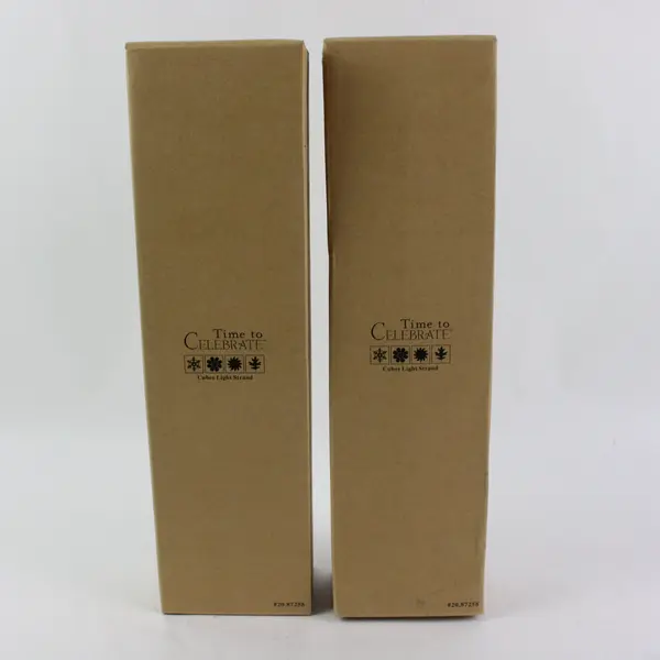 Set of 2 Time To Celebrate Cubes String Lights Model 87258