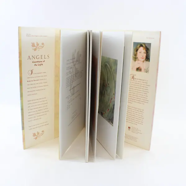 Angels: Guardians of the Light - Hardcover By Karen M. Haughey