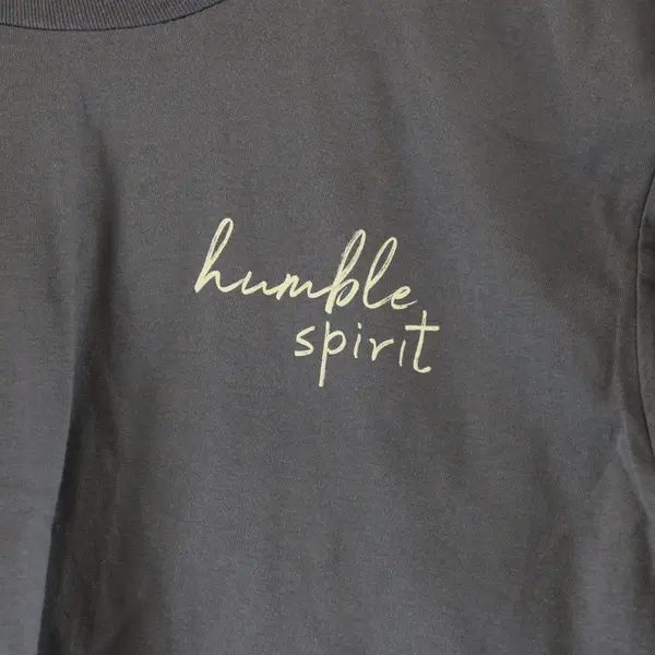 Gildan Soft Style Gray Humble Spirit Unisex Adult M T-Shirt