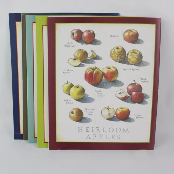 Lot of 5 Cook's Illustrated 2015 Back Issues Magazines as Pictured