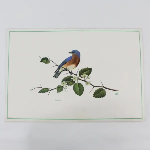 Set Of 4 Vintage 1971 Placemats Songbirds of America Chuck Ripper Laminated