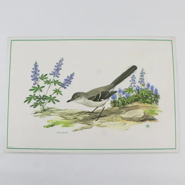 Set Of 4 Vintage 1971 Placemats Songbirds of America Chuck Ripper Laminated