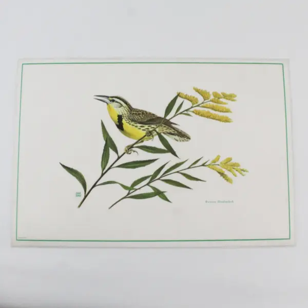 Set Of 4 Vintage 1971 Placemats Songbirds of America Chuck Ripper Laminated