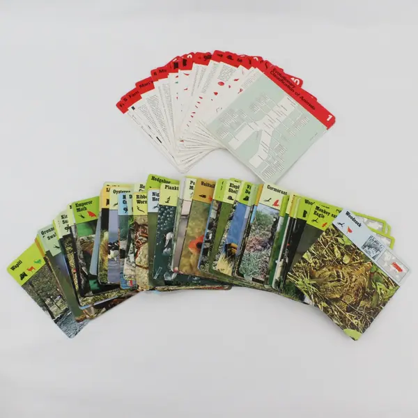 Lot Of 240 Vintage 1970s Editions Rencontre Animal Wildlife Safari Cards