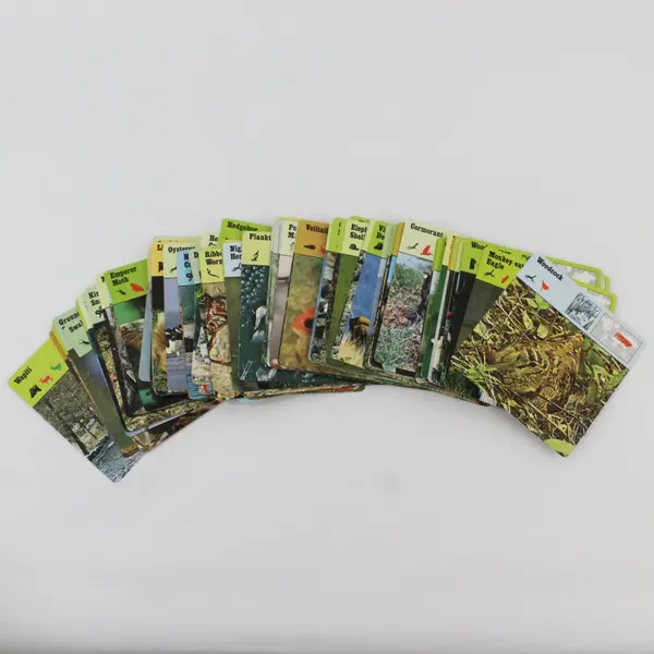 Lot Of 240 Vintage 1970s Editions Rencontre Animal Wildlife Safari Cards