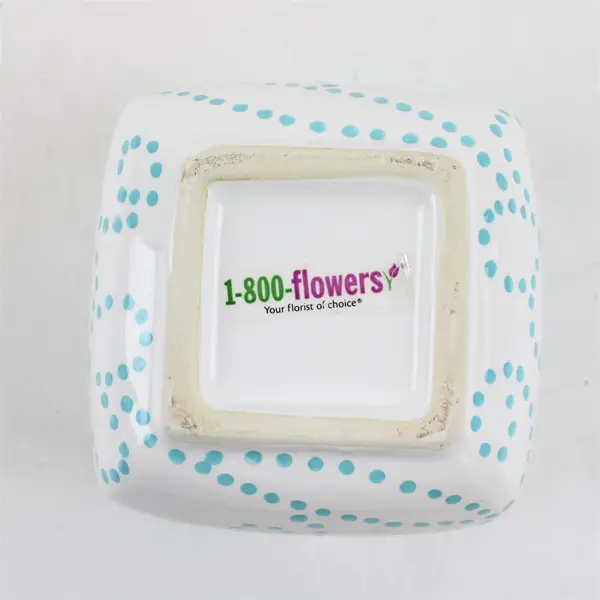 1-800-Flowers White Aqua Ceramic Candy Canister w/Lid Kitchen Storage