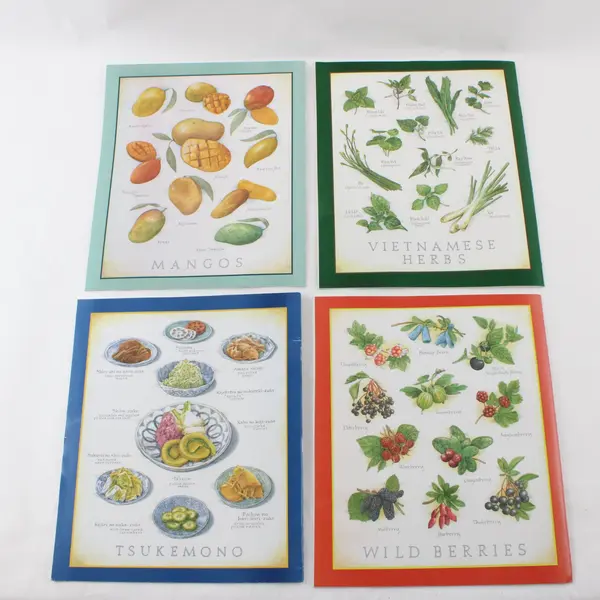 Lot of 4 Cook's Illustrated Magazine Recipe and Cooking Tips, 2022, 2023, 2025