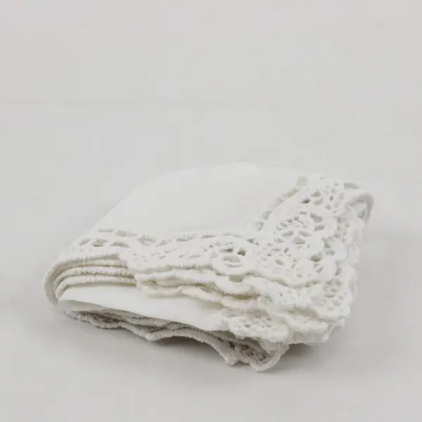 Vintage Ann's Sheer White Crochet Trim Handkerchief