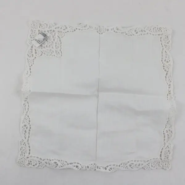 Vintage Ann's Sheer White Crochet Trim Handkerchief