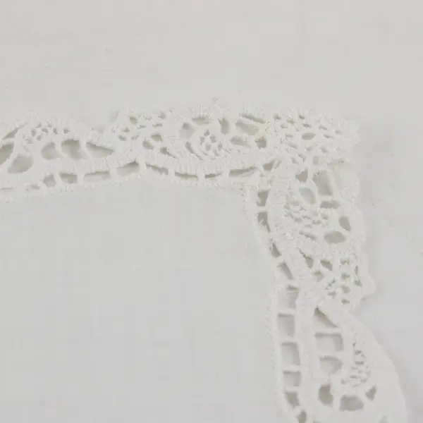 Vintage Ann's Sheer White Crochet Trim Handkerchief