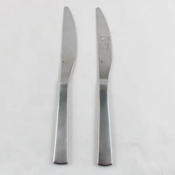 Lot of 2 Gourmet Settings Park-Carry On Stainless Steel Dinner Knives 9 1/2" 