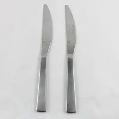 Lot of 2 Gourmet Settings Park-Carry On Stainless Steel Dinner Knives 9 1/2" 