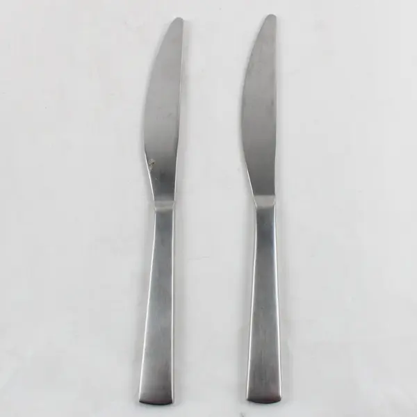 Lot of 2 Gourmet Settings Park-Carry On Stainless Steel Dinner Knives 9 1/2" 