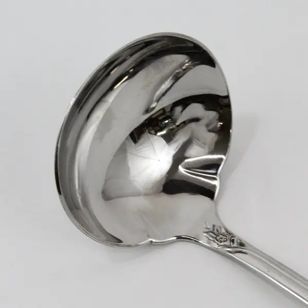 Oneida Stainless Steel Glossy Fantasy Rose Pattern 7 1/4" Ladle 