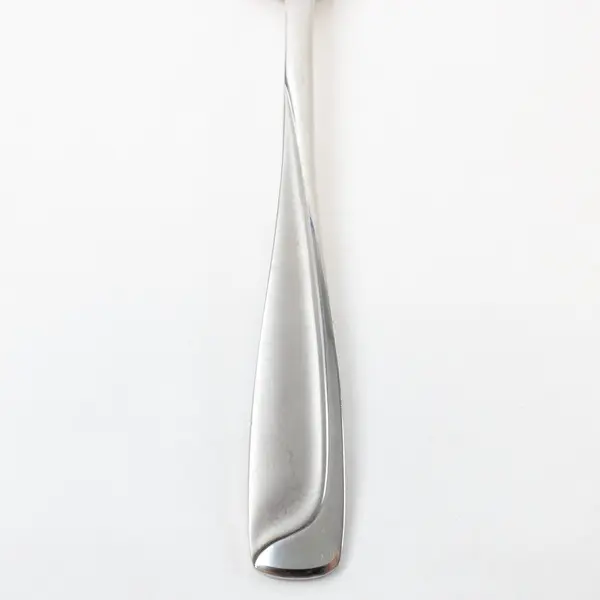 Pfaltzgraff Satin Echo Stainless Steel Serving Fork 8.5 Inch