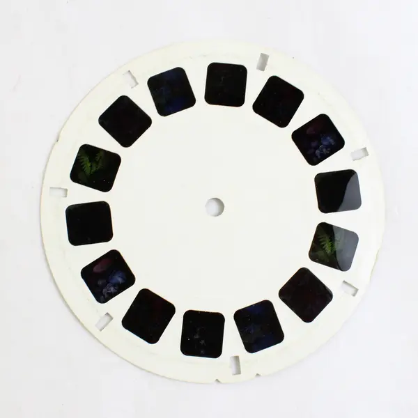 View-Master Vintage The Plant Kingdom Reel 1969